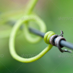 免费测试呼死你