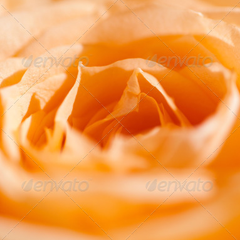 短信在线云呼轰炸