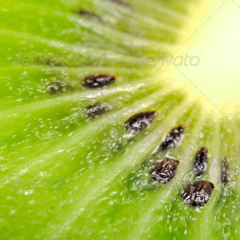 无需等待加载的电话短信轰炸机