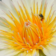 短信在线压测平台