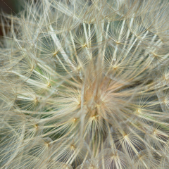 售后保障的电话轰在线轰炸免费下载