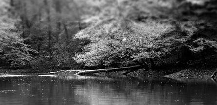 短信压力测试平台