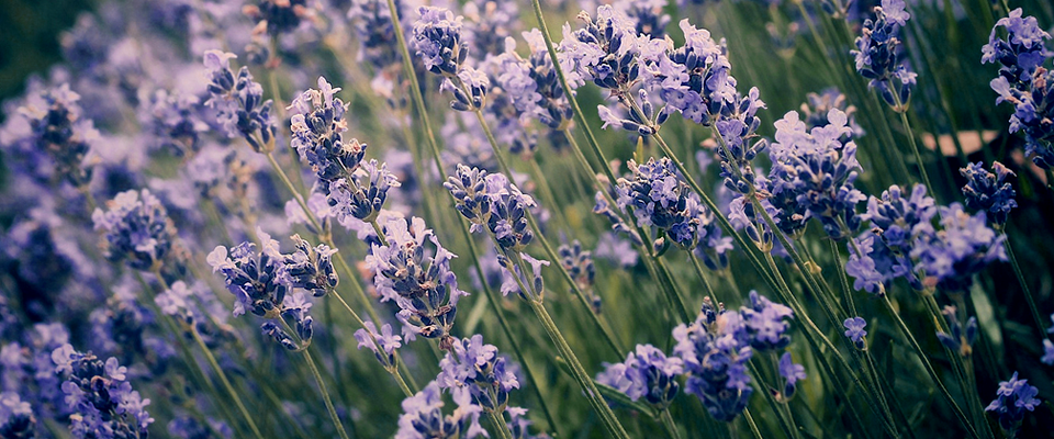 短信在线压测平台